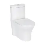 Vaso Sanitário Acoplado (monobloco) Smart 225 + Anel de vedação + Mangueira flexivel - Smart Norte